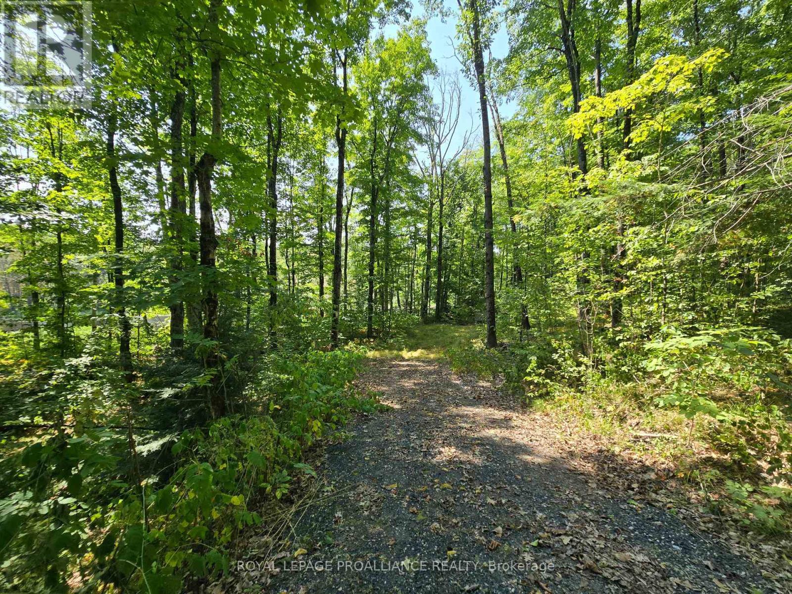 1255 Blue Heron Ridge, Central Frontenac (Frontenac Centre), ON