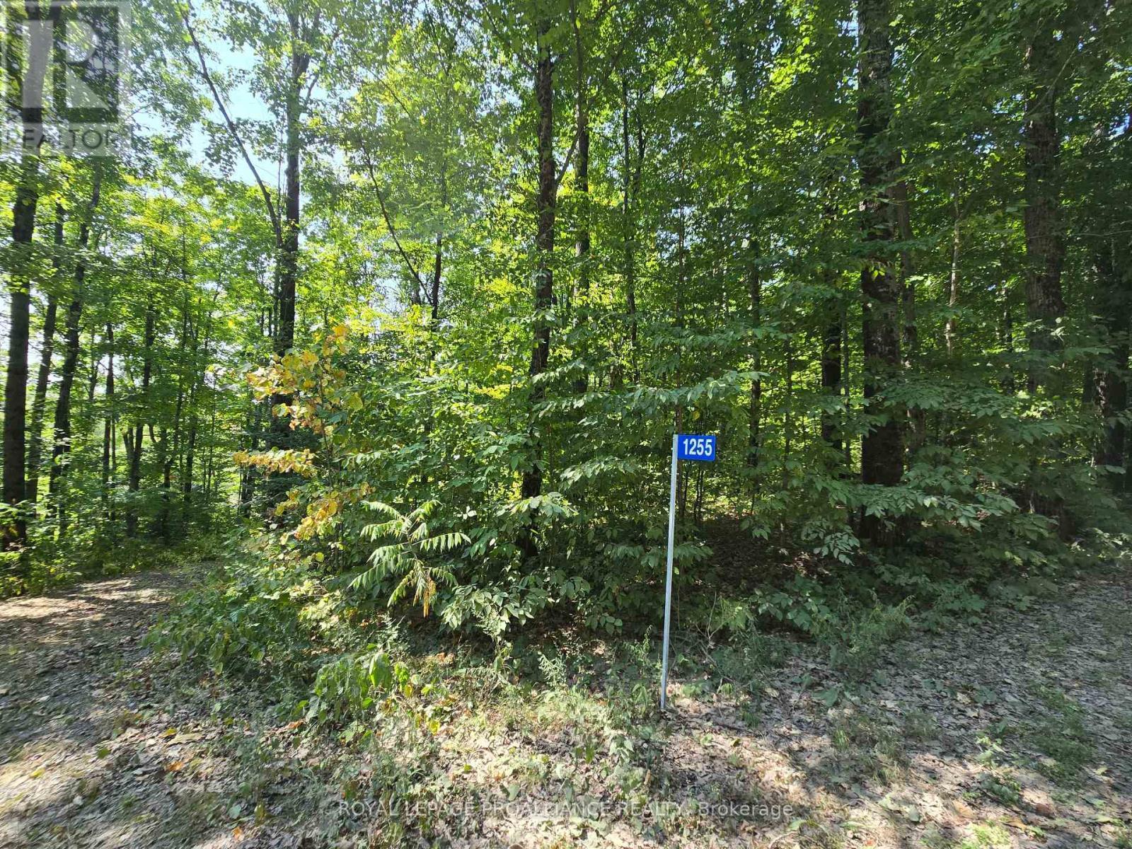 1255 Blue Heron Ridge, Central Frontenac (Frontenac Centre), ON