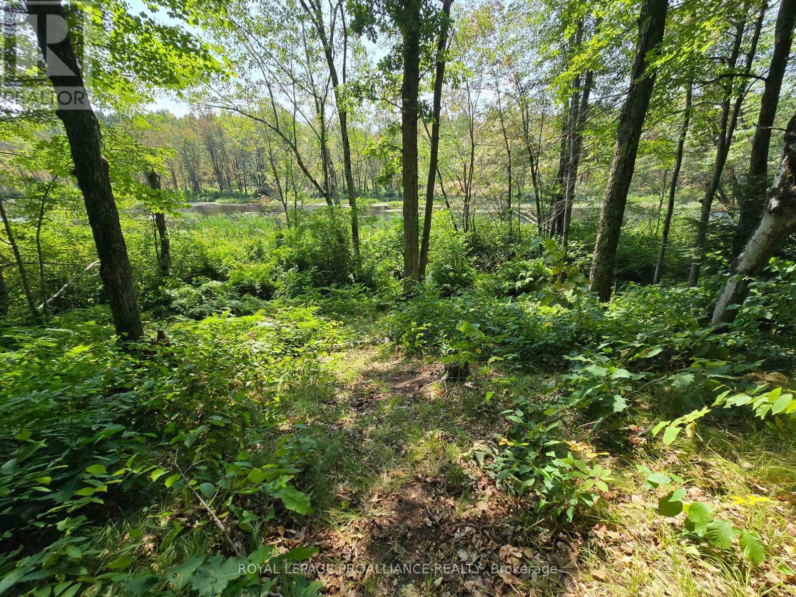 1255 Blue Heron Ridge, Central Frontenac (Frontenac Centre), ON