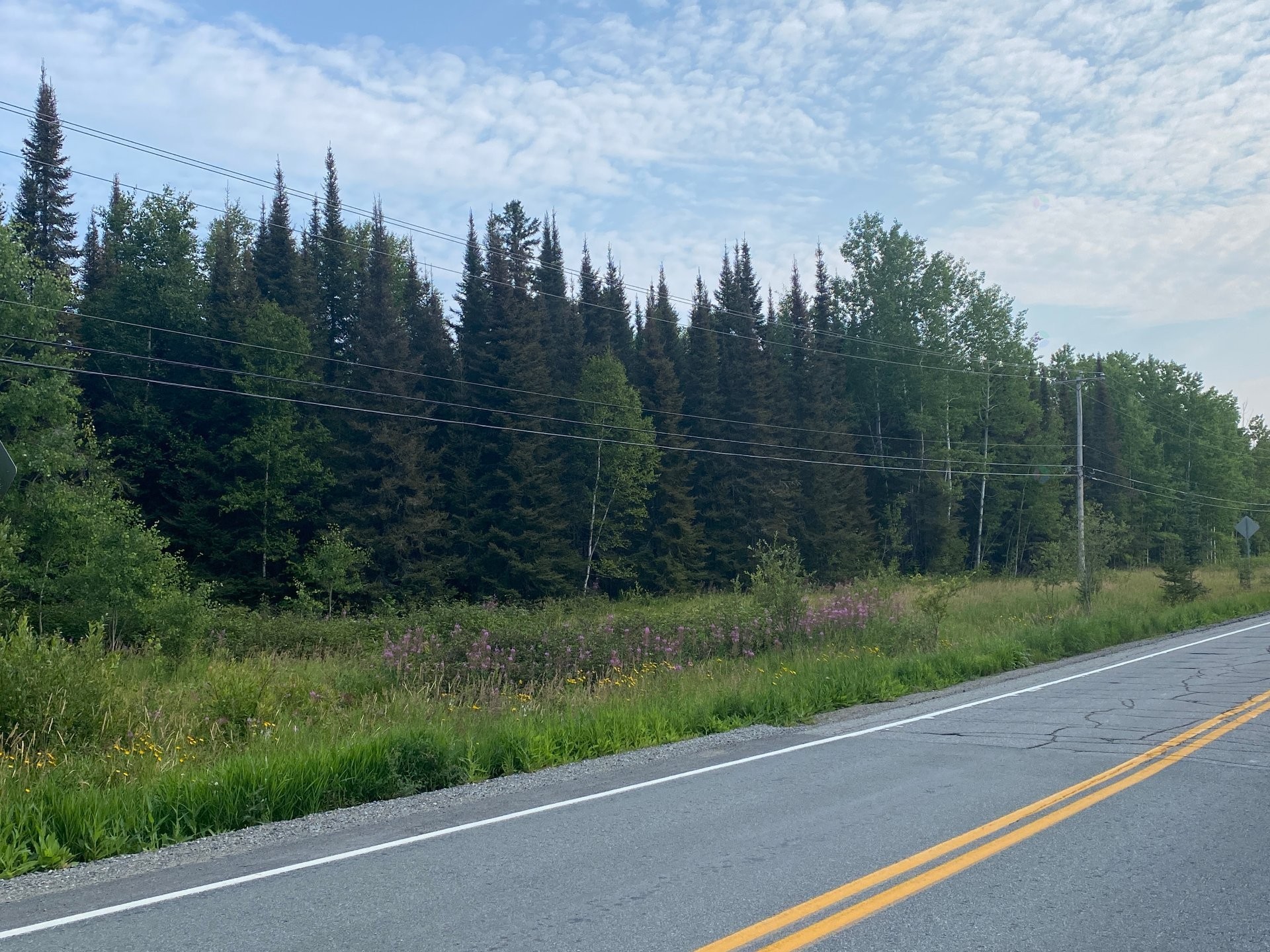 Terre/Terrain - Av. Du Lac, Preissac, QC