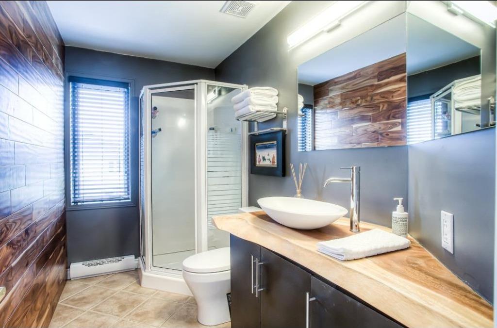 Salle de bains - 610 Rue Des Vignobles, Rosemère, QC - Indoor Photo Showing Bathroom