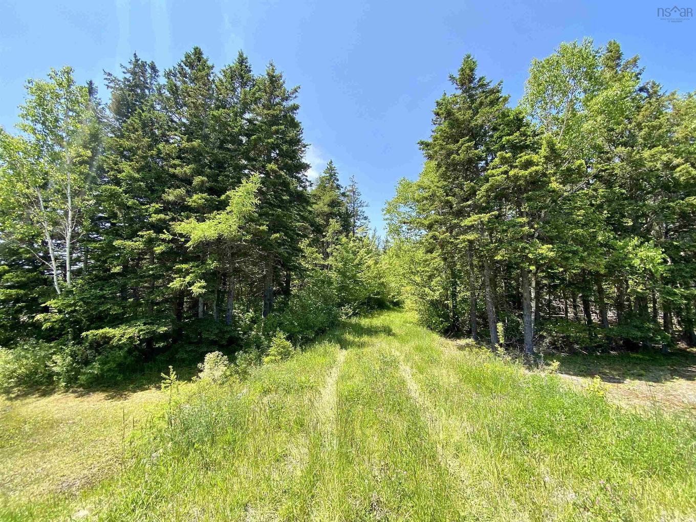 Acerage Highway 19, Long Point, NS