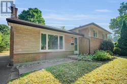 Mature Neighborhood -