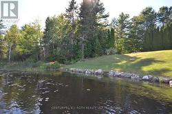 Waterfront view from Dock -