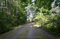 Entry of Driveway to Property from the road -