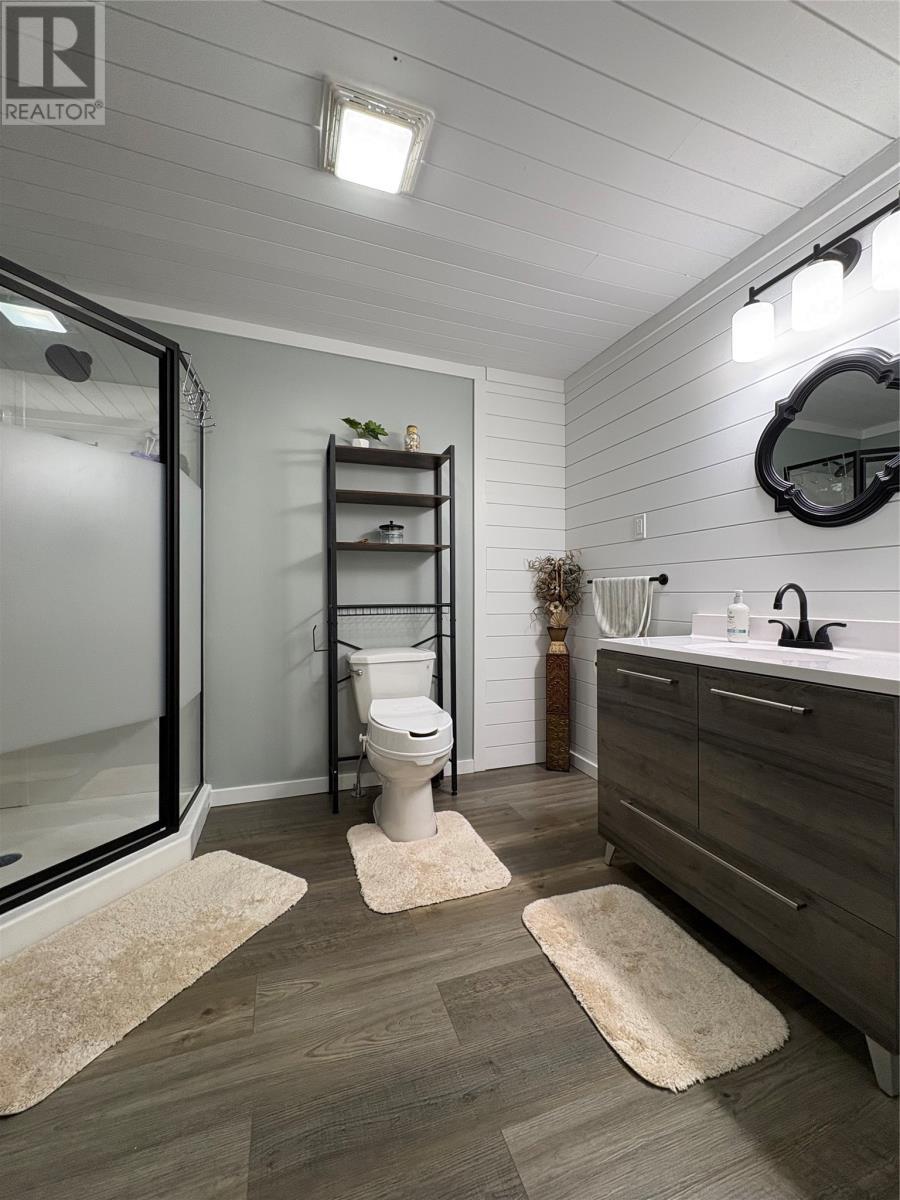 46 Main Street, Brown'S Arm, NL - Indoor Photo Showing Bathroom
