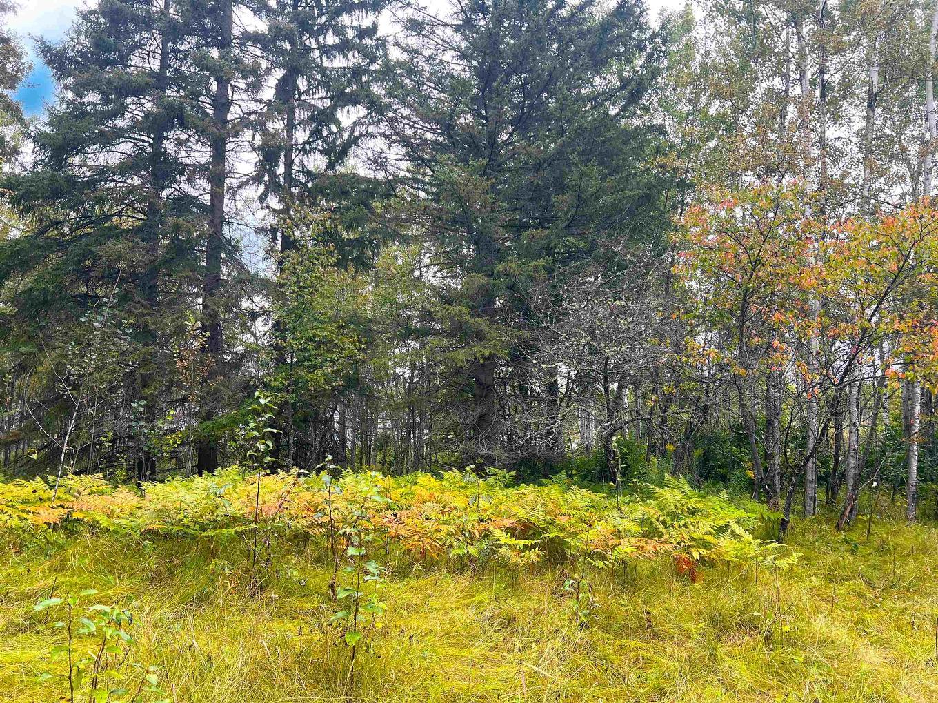 2170 Lynda Avenue, Thunder Bay, ON