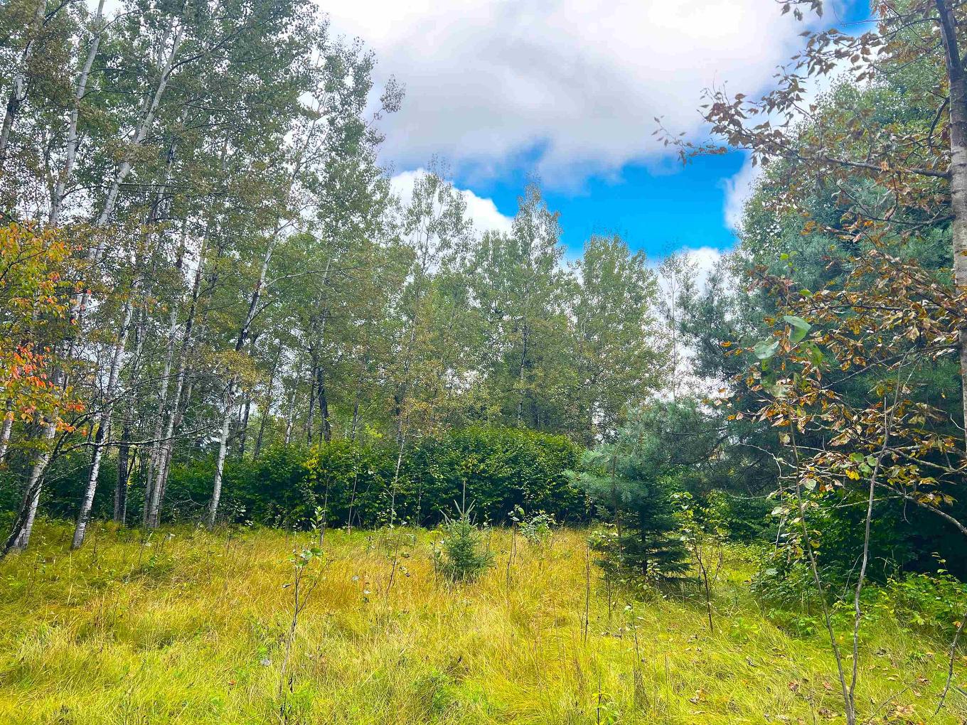 2170 Lynda Avenue, Thunder Bay, ON