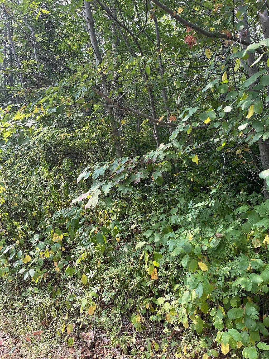 Lot 5 Granville Road, Karsdale, NS