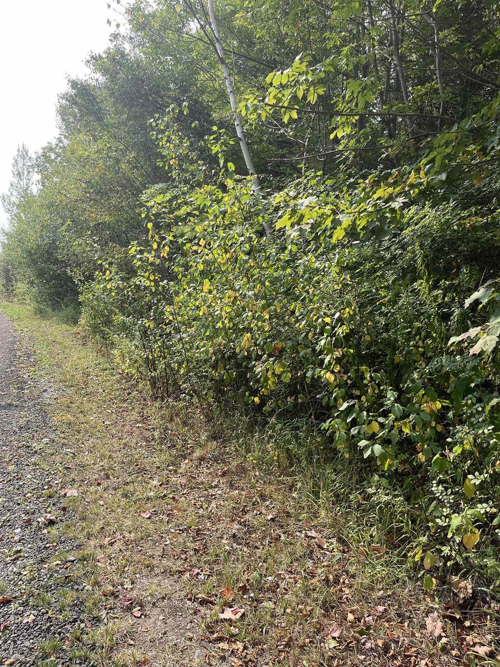 Lot 5 Granville Road, Karsdale, NS