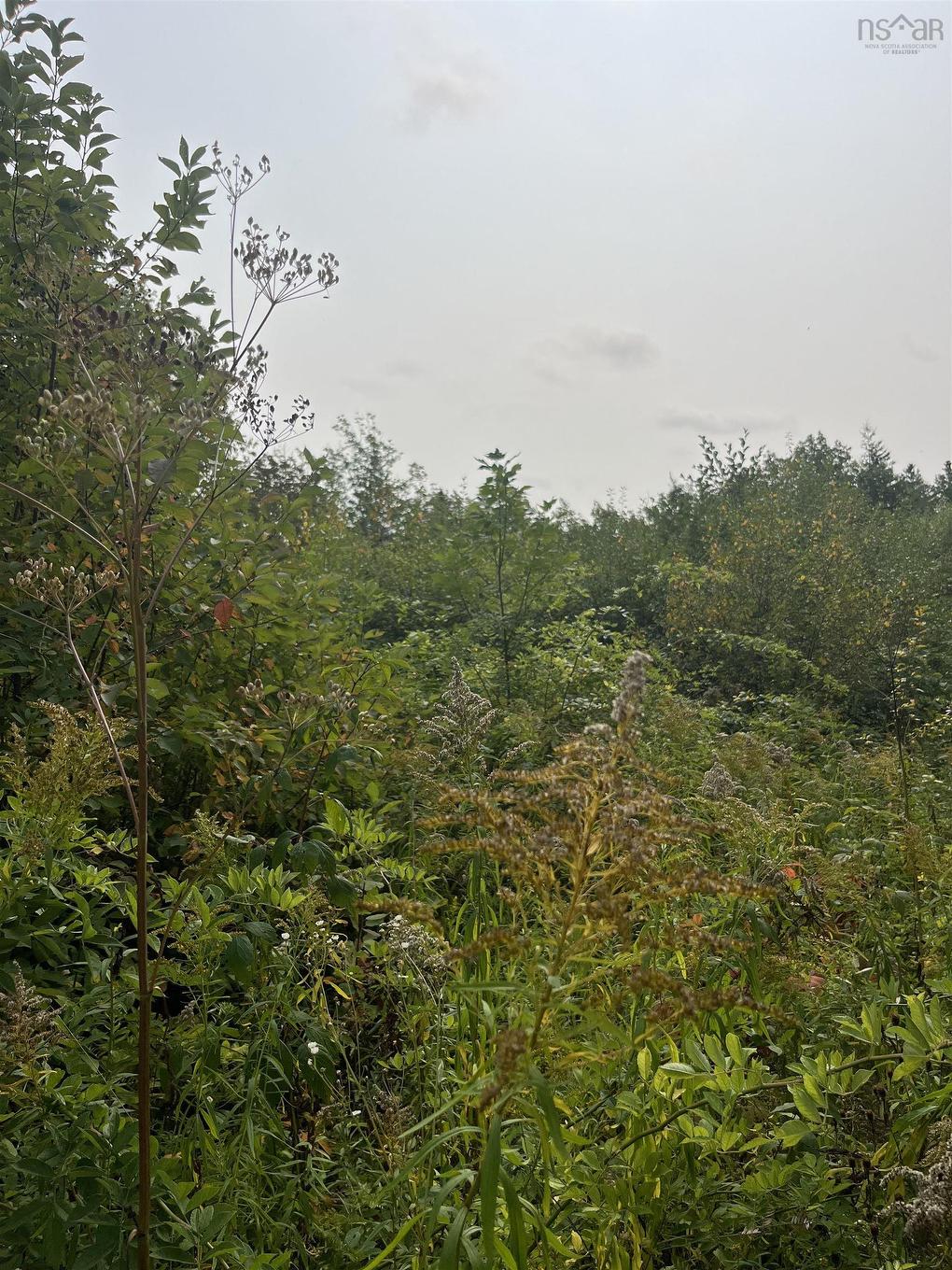 Lot 5 Granville Road, Karsdale, NS