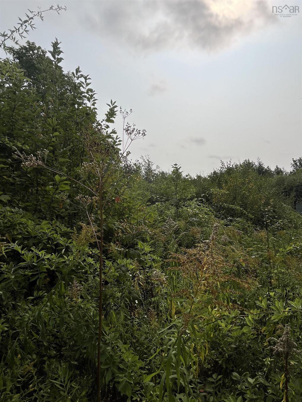 Lot 5 Granville Road, Karsdale, NS