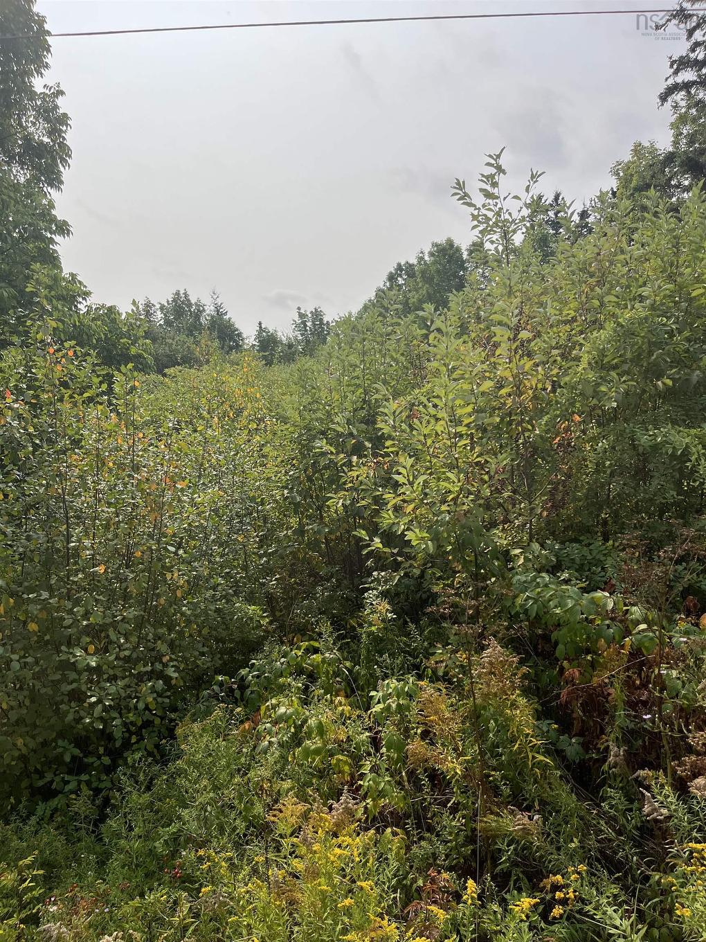 Lot 5 Granville Road, Karsdale, NS