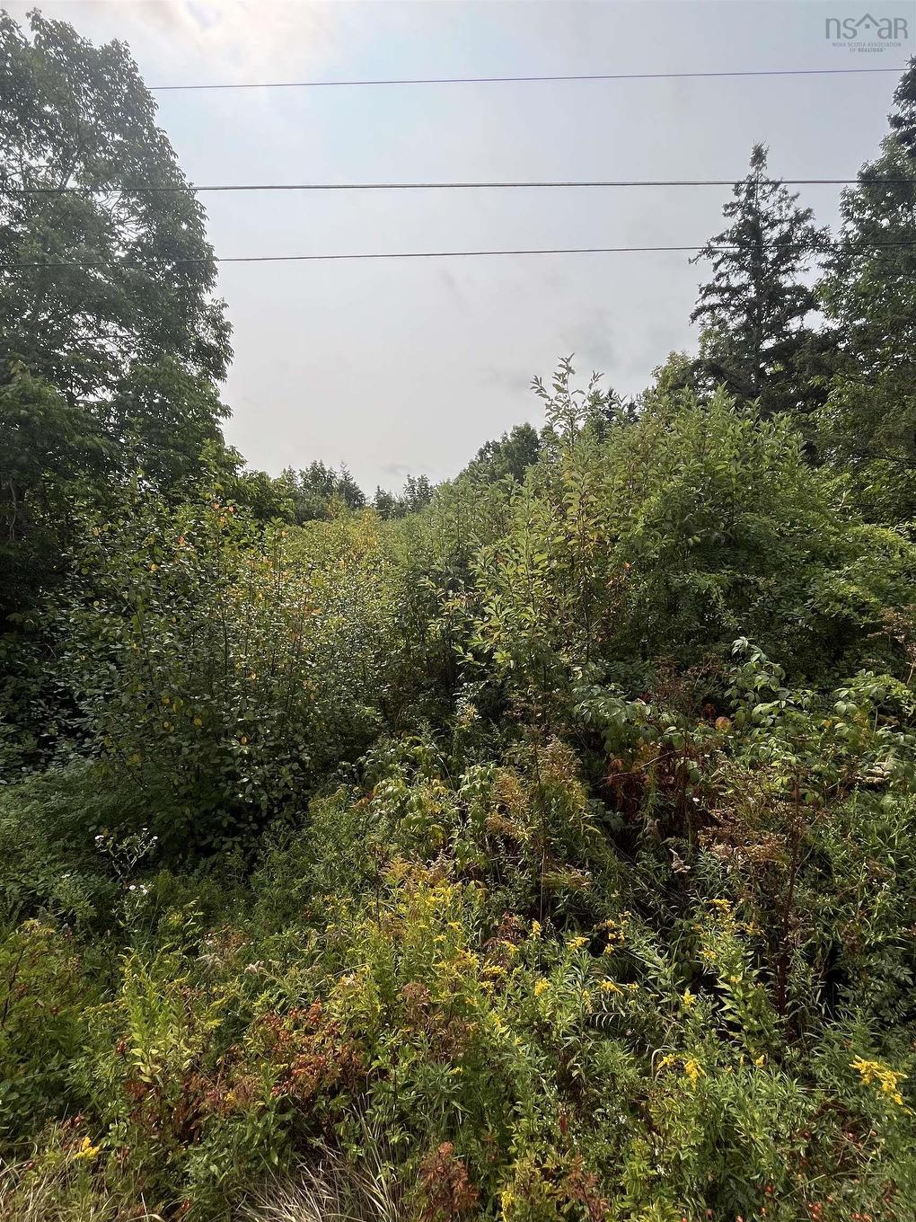 Lot 5 Granville Road, Karsdale, NS