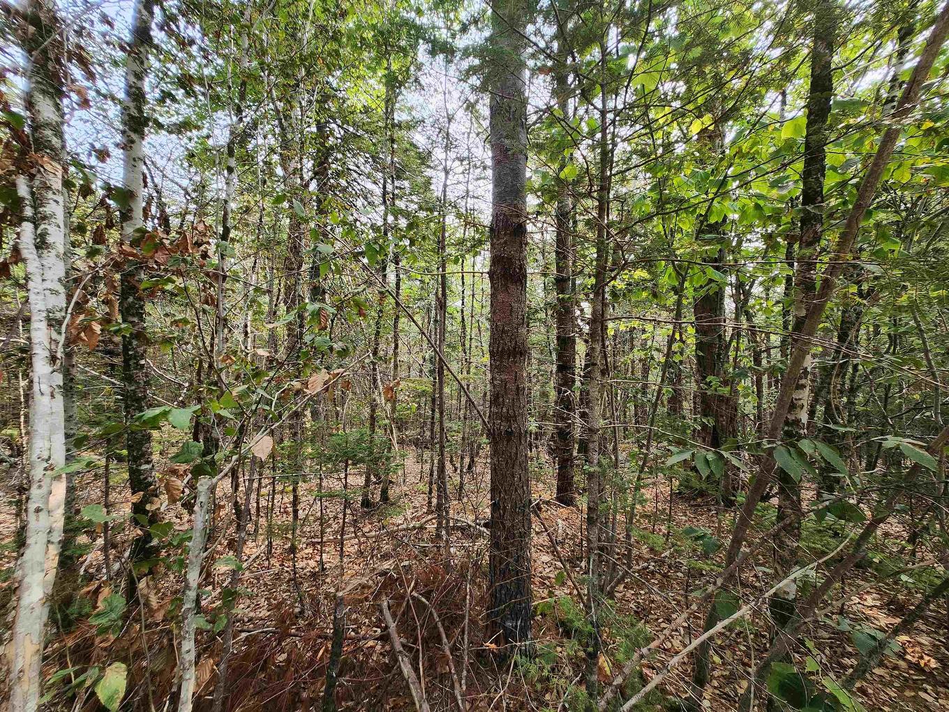 Lot 69 Turner Point Crossover, Walden, NS