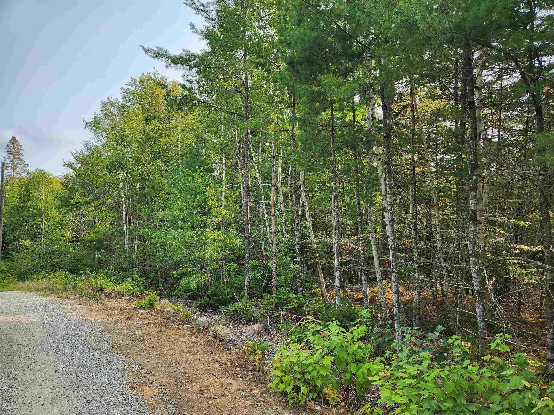 Lot 70 Turner Point Crossover, Walden, NS