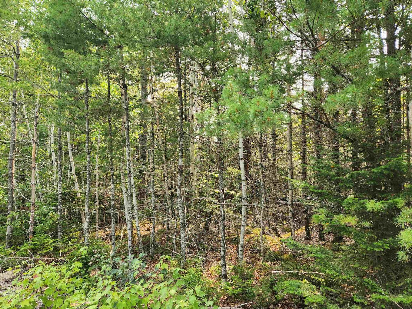 Lot 70 Turner Point Crossover, Walden, NS