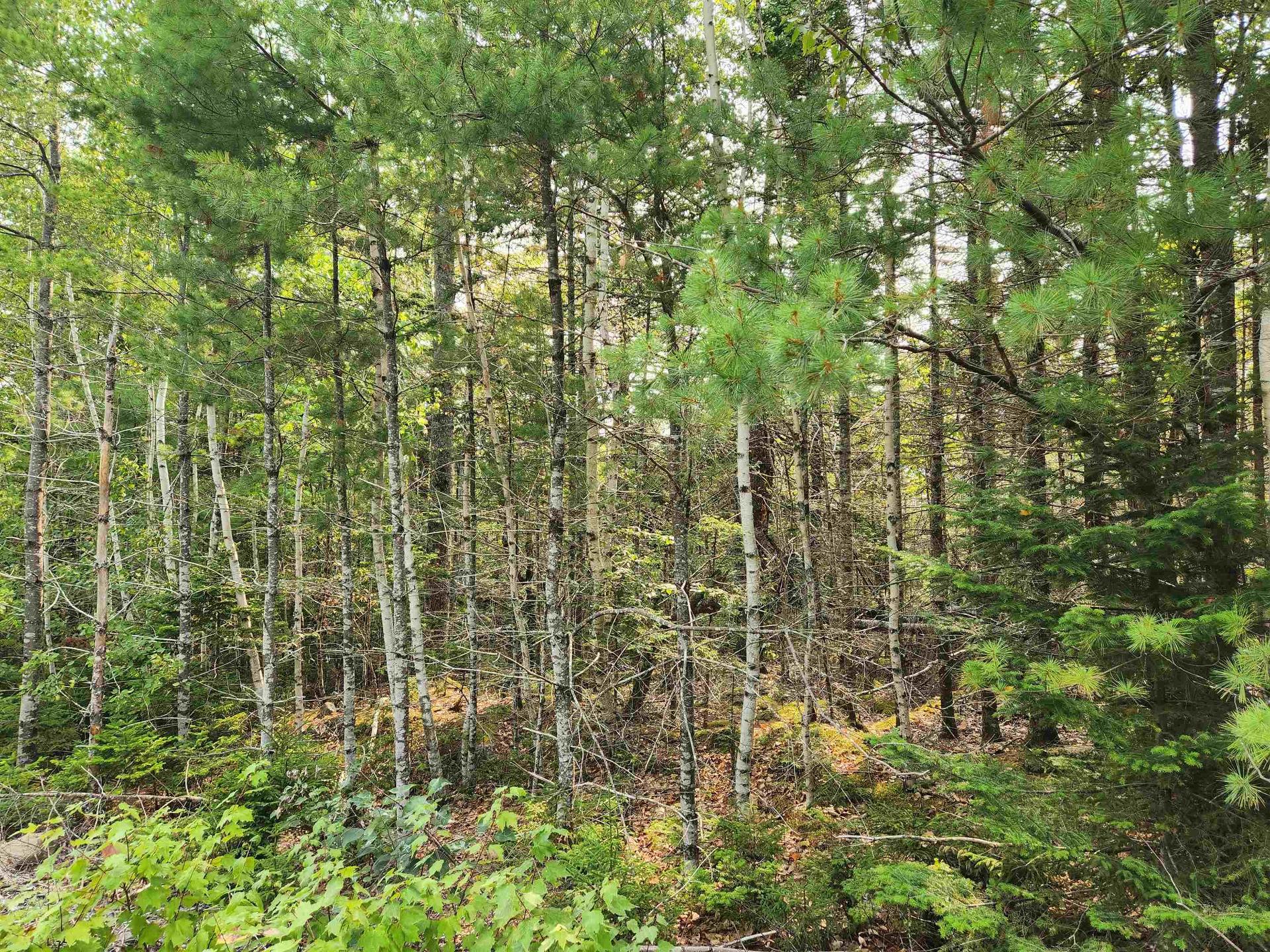 Lot 70 Turner Point Crossover, Walden, NS
