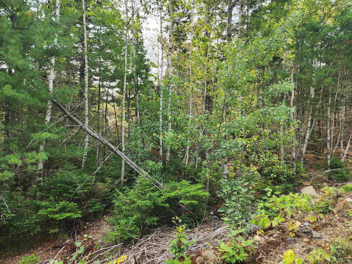 Lot 70 Turner Point Crossover, Walden, NS