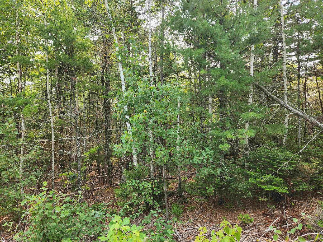 Lot 70 Turner Point Crossover, Walden, NS