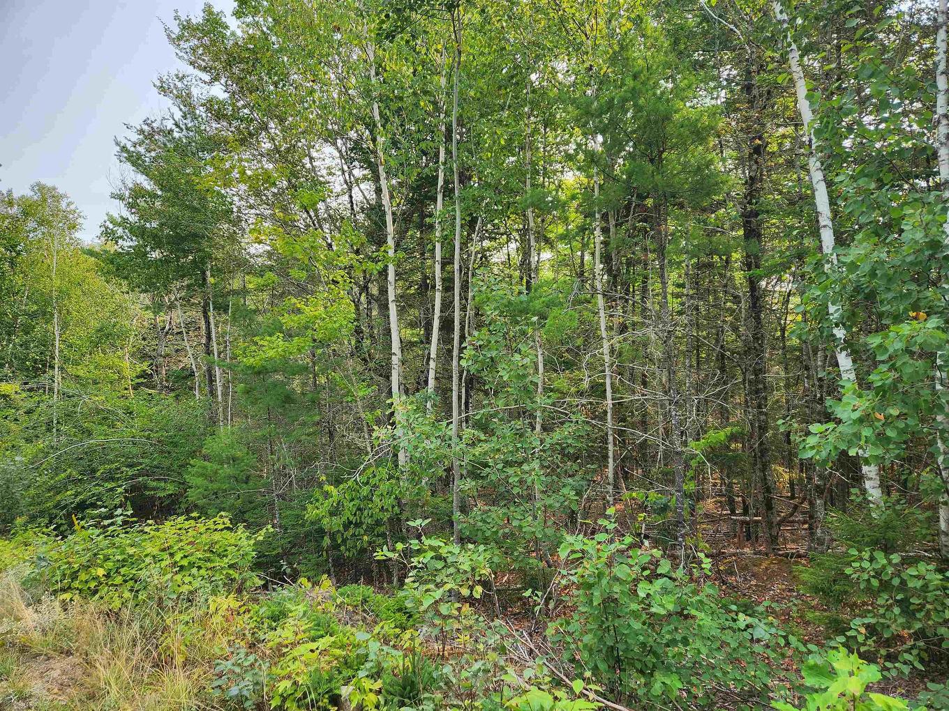 Lot 70 Turner Point Crossover, Walden, NS