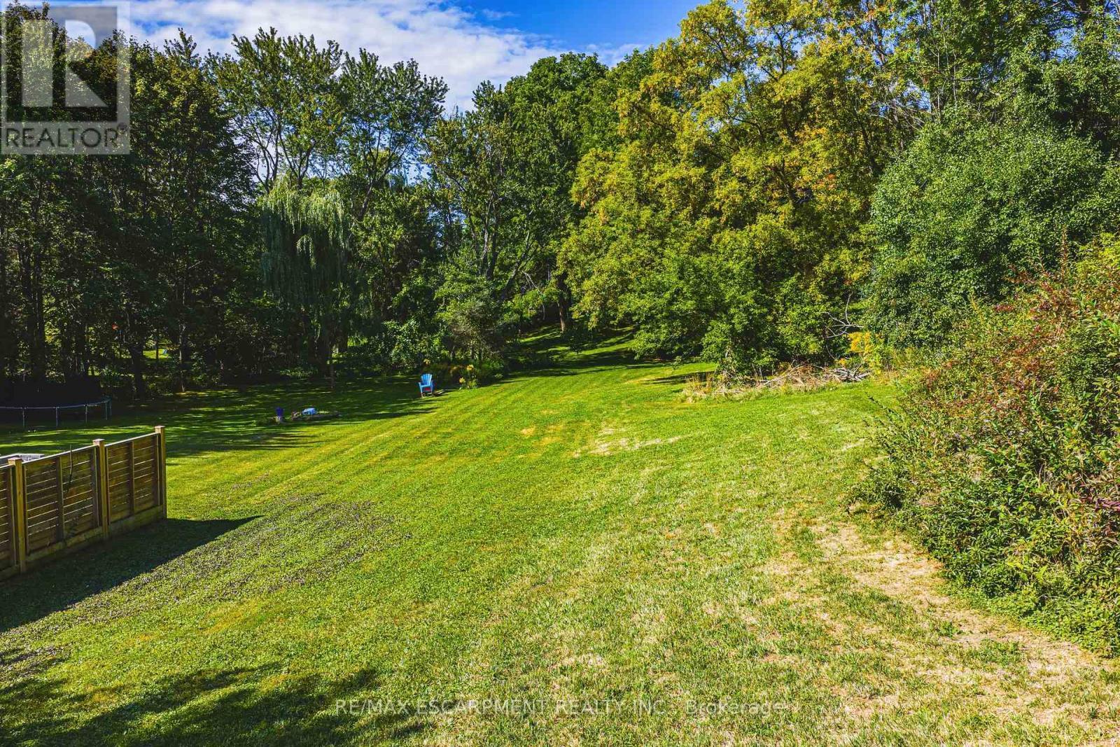 Mature trees. - 24 Rosebough Street, Hamilton, ON