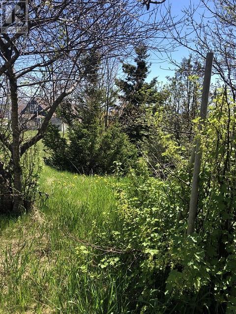 65 Ohio Drive, Stephenville, NL