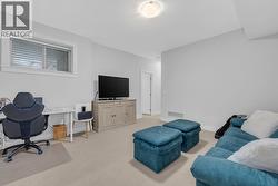 Basement recreational room -