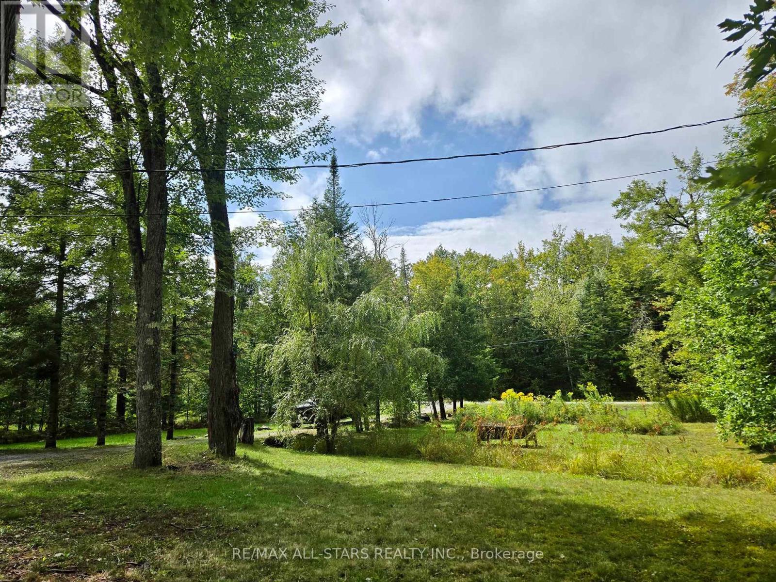 47 Kennedy Drive, Trent Lakes, ON - Outdoor With View