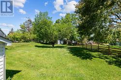 Large backyard with mature trees -