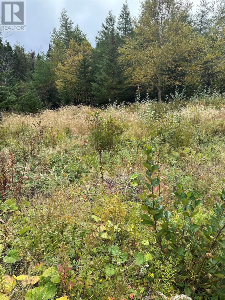 30 Markland Road, Creston South, NL