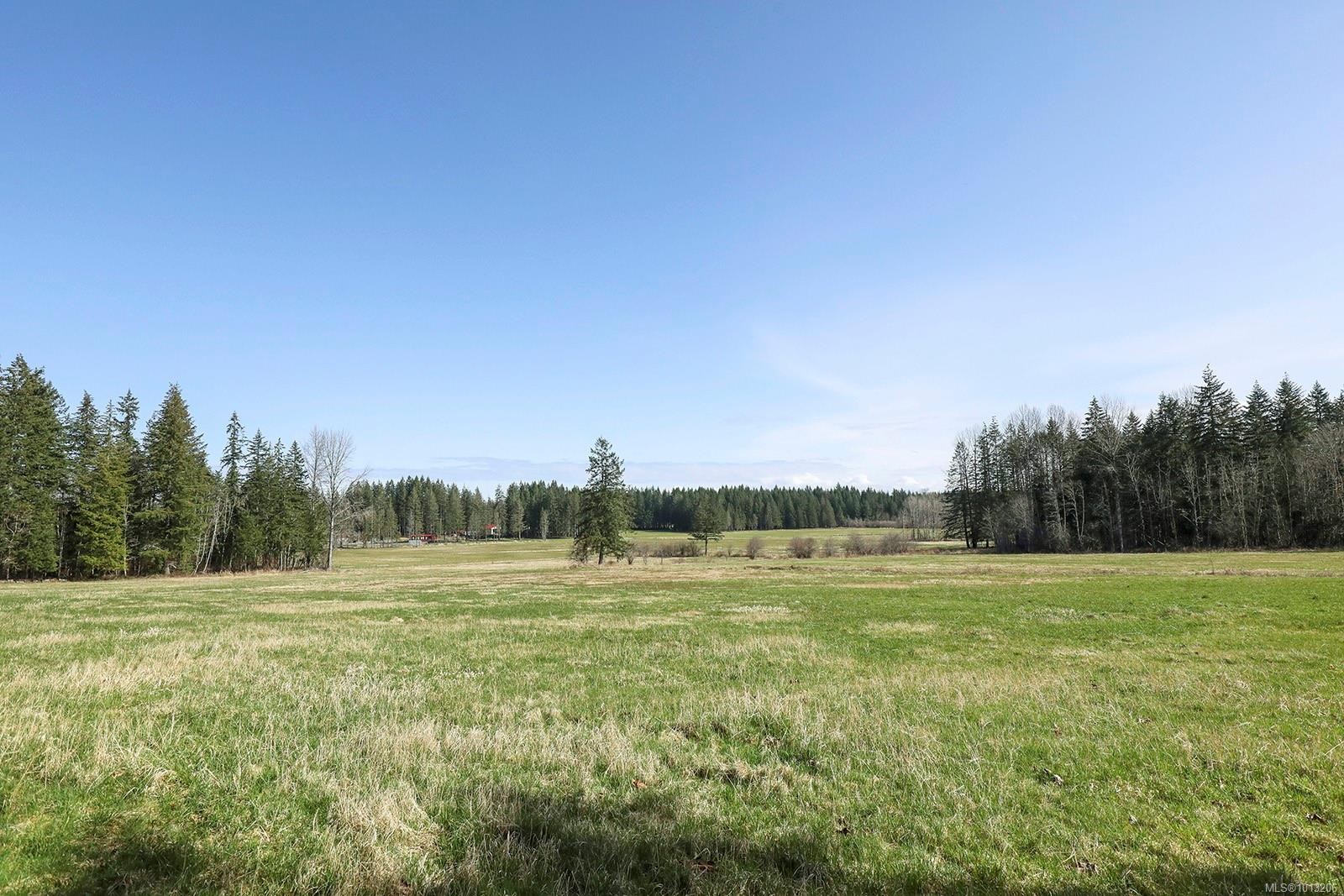 7792 Island Hwy North, Black Creek, BC