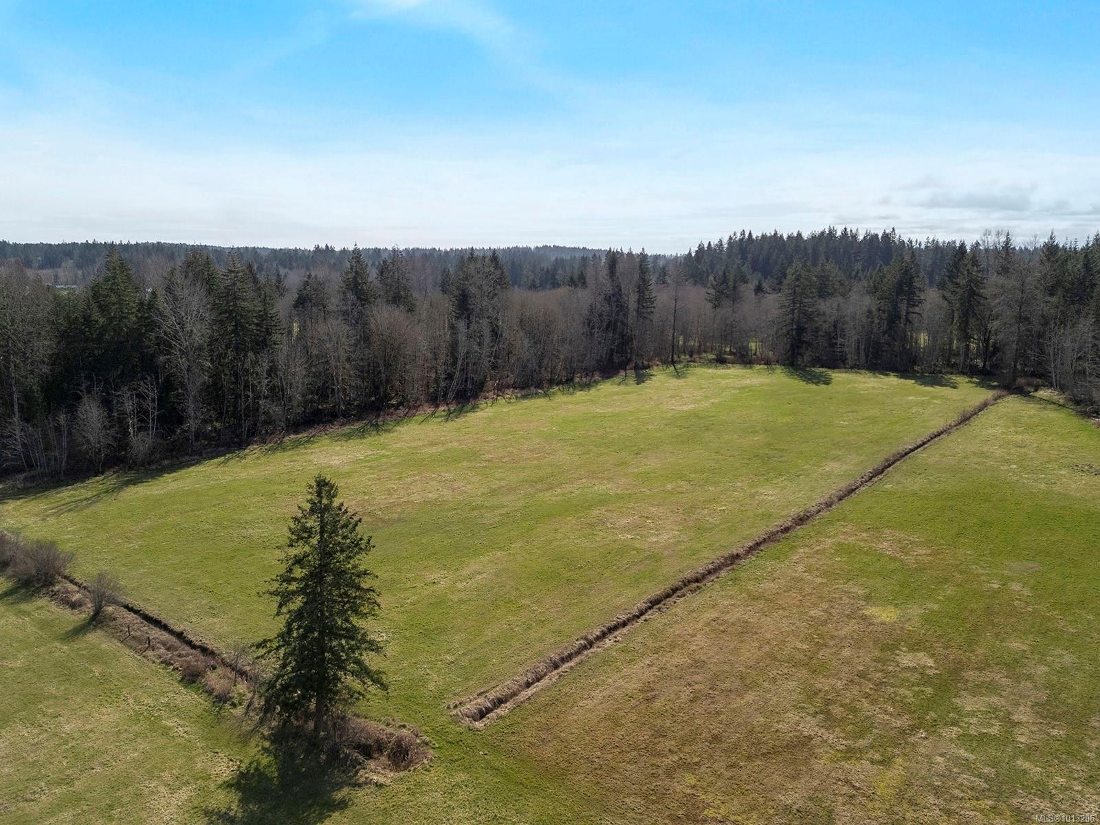 7792 Island Hwy North, Black Creek, BC