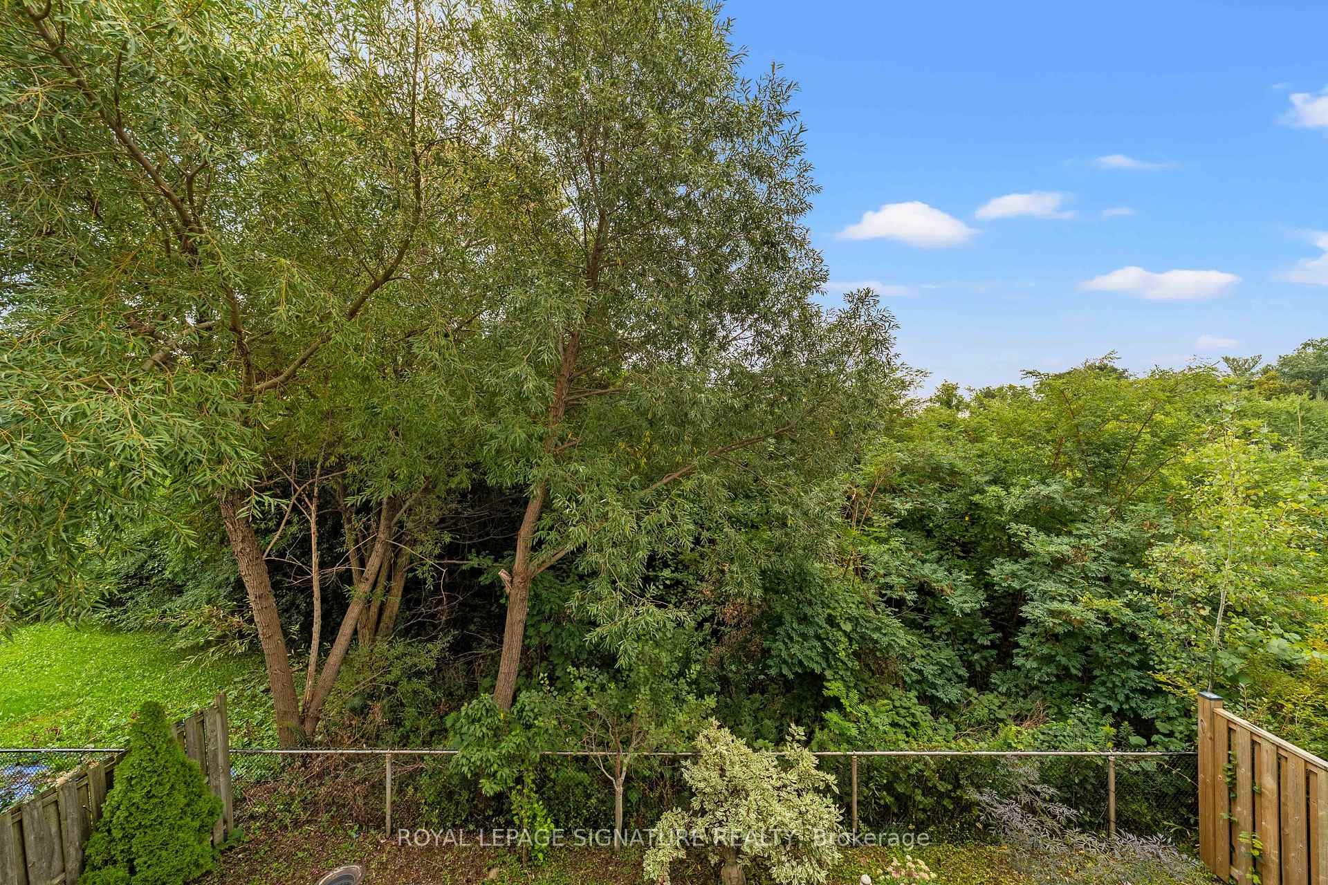 46 Trish Drive, Richmond Hill, ON - Outdoor