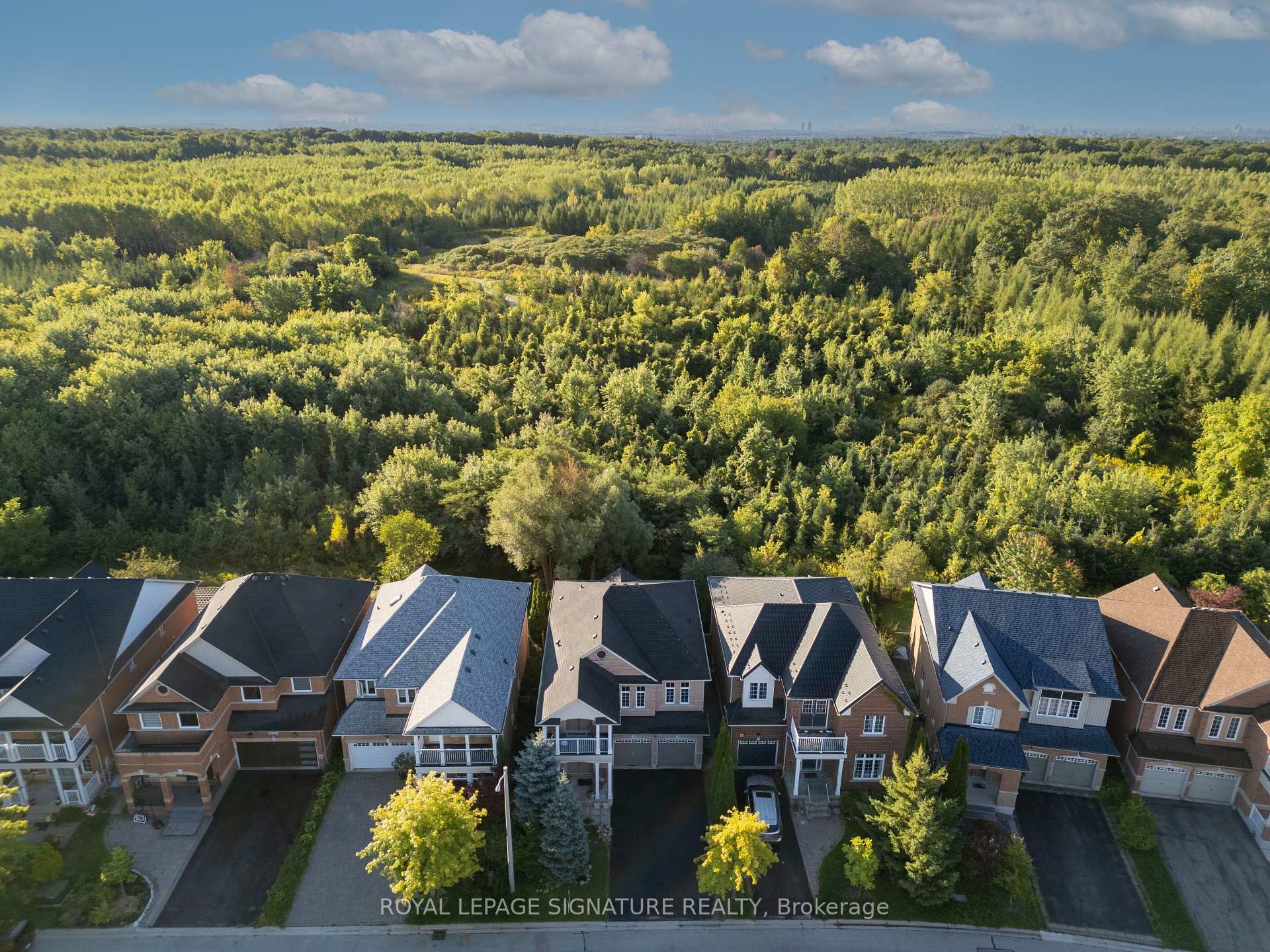 46 Trish Drive, Richmond Hill, ON - Outdoor With View