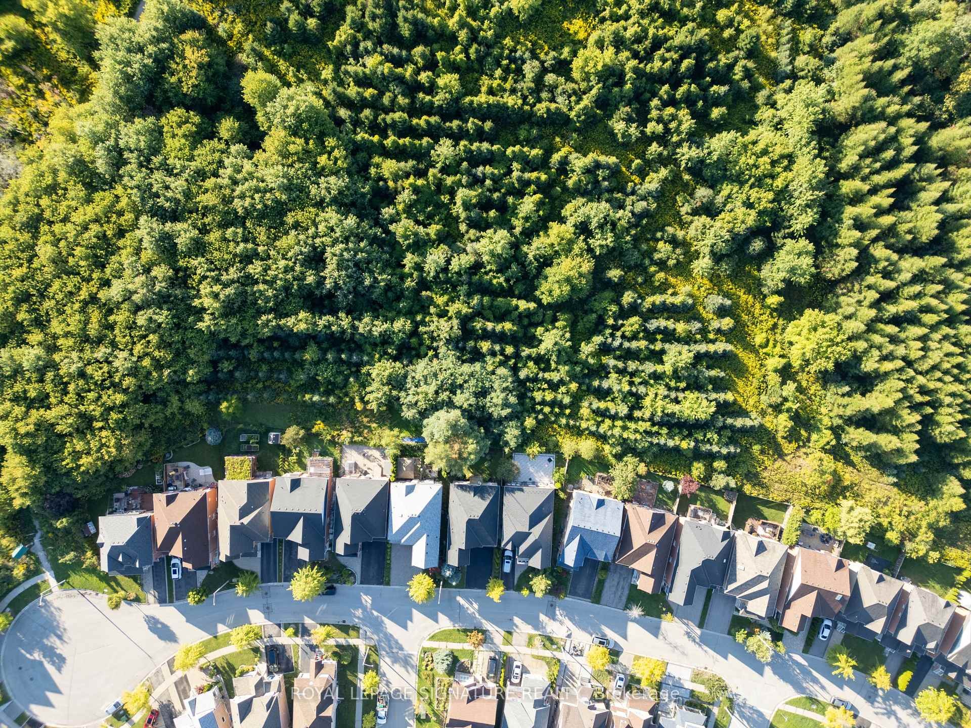 46 Trish Drive, Richmond Hill, ON - Outdoor With View