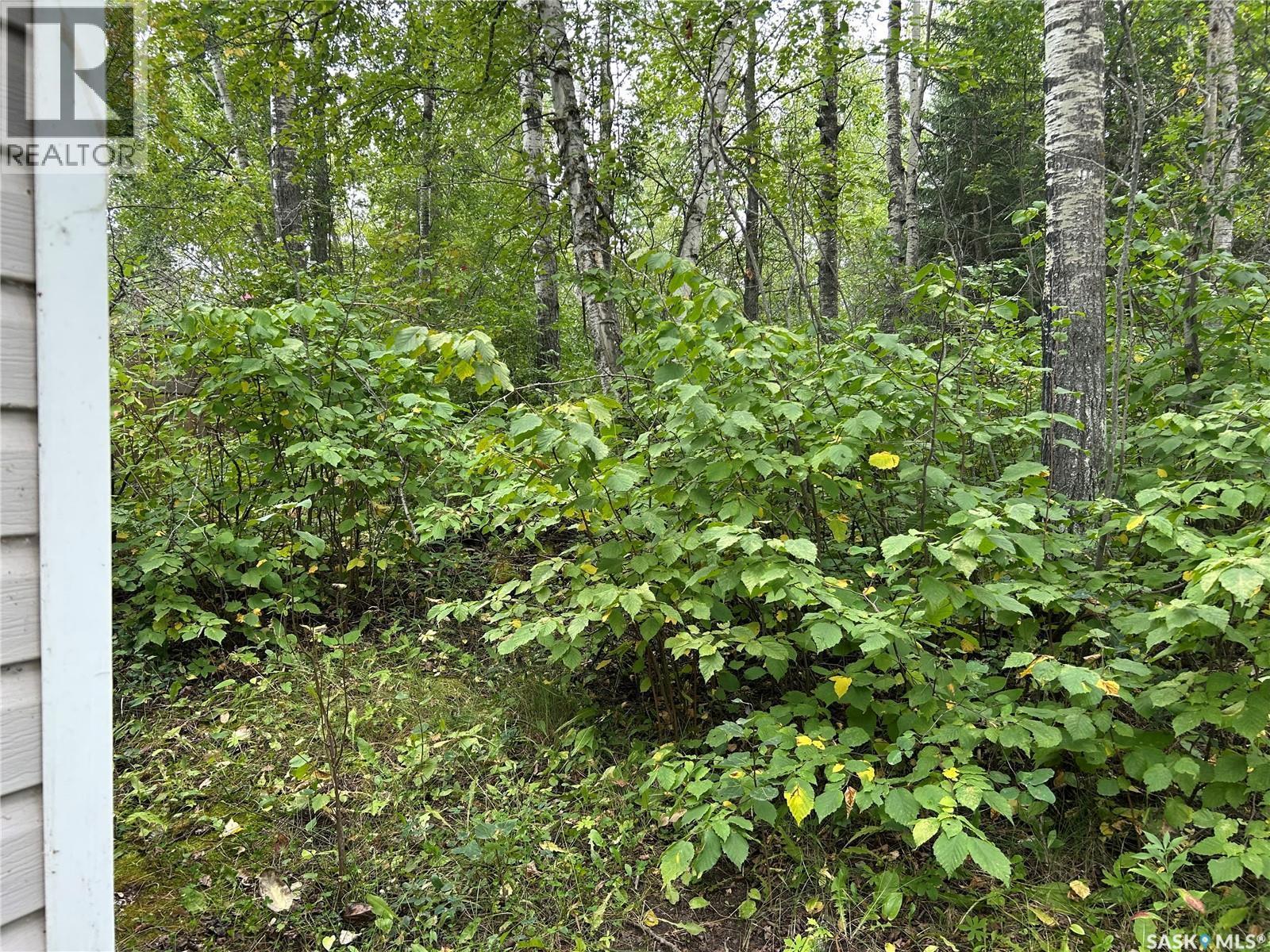 6040 Spruce Way, Bjorkdale Rm No. 426, SK