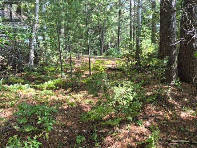 2193 Fern Glen Road, Mcmurrich/Monteith, ON - Outdoor