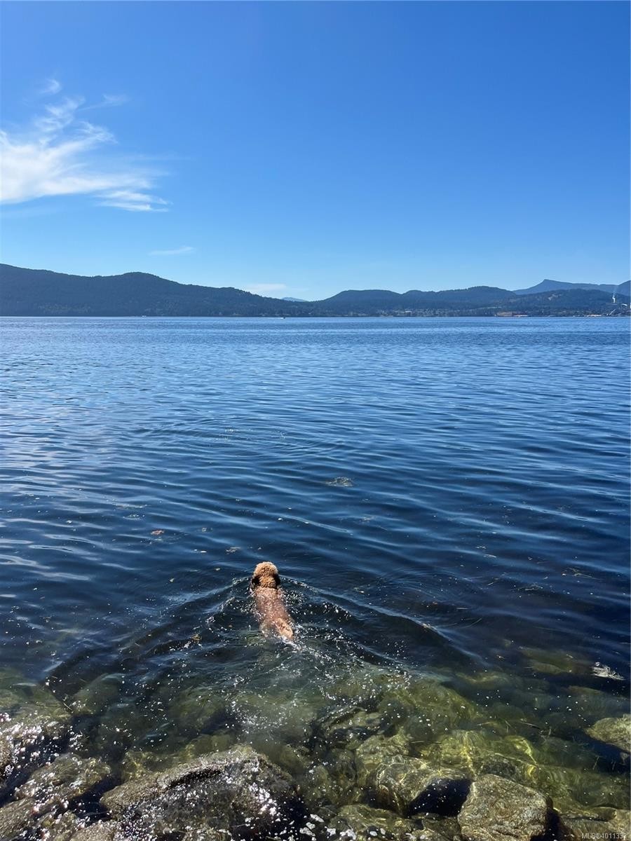 285 Mountain Park Dr, Salt Spring, BC