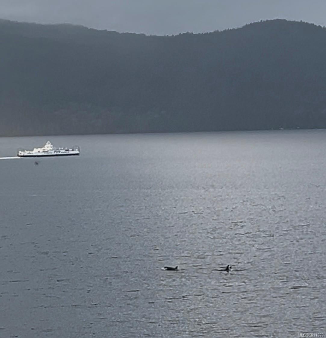 285 Mountain Park Dr, Salt Spring, BC