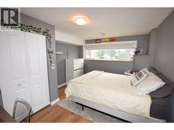 bedroom 4 lower level -