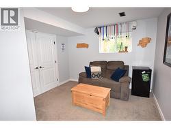 lower level family room -