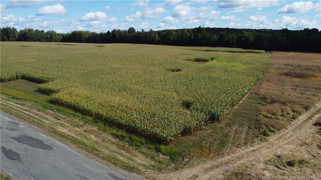 0 Bedell Settlement Rd, Bedell, NB