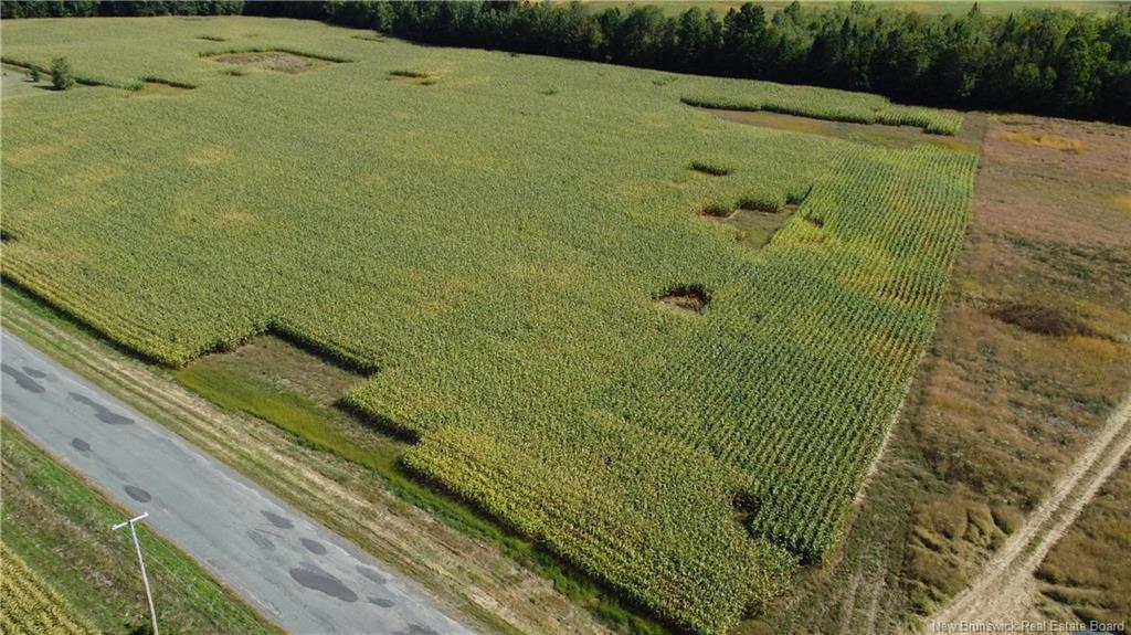 0 Bedell Settlement Rd, Bedell, NB