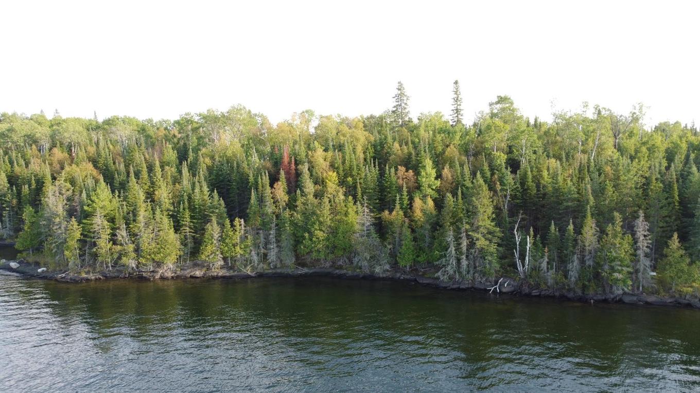 Lot 3 Zigzag Island, District Of Kenora, ON