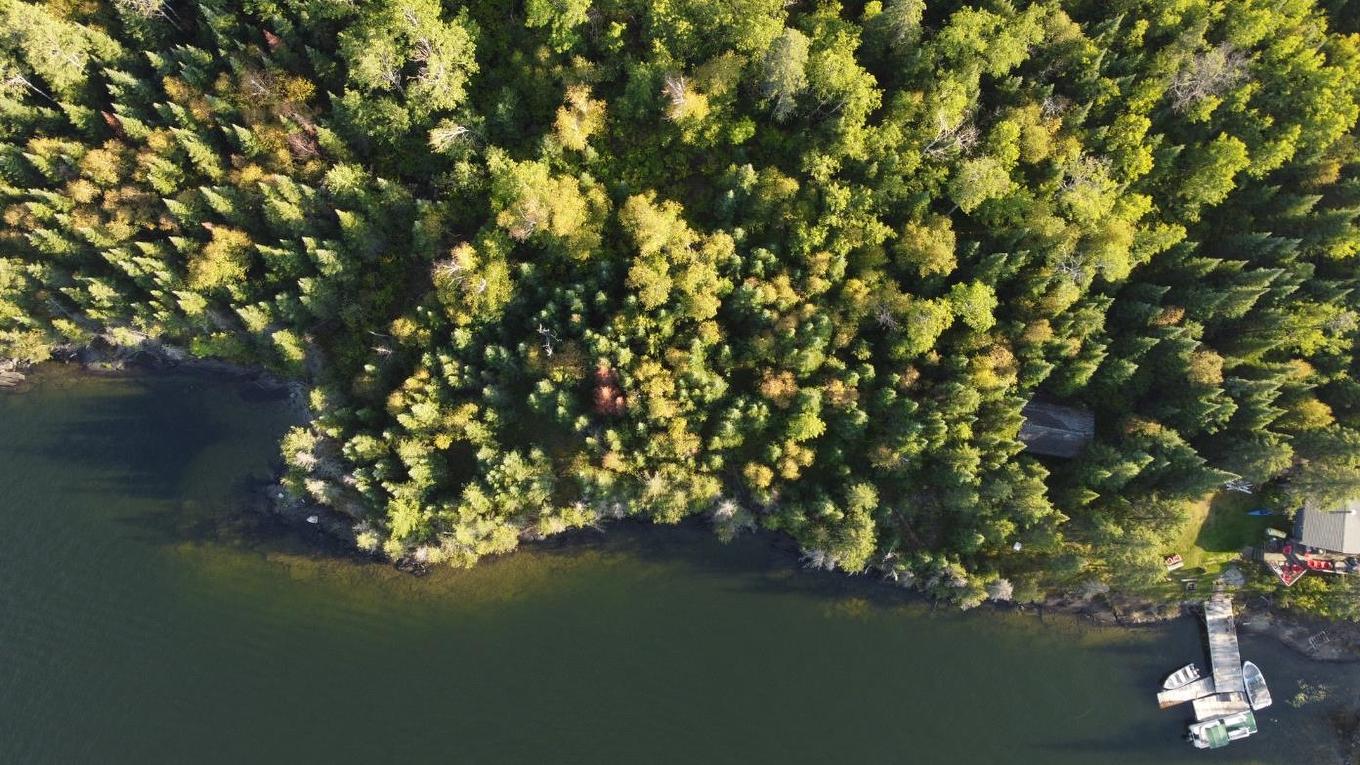 Lot 3 Zigzag Island, District Of Kenora, ON