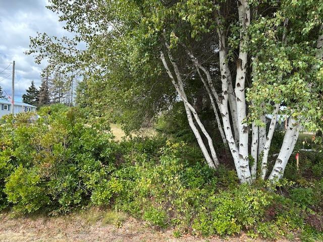 Lot Machon Point Road, Murray Harbour, PE