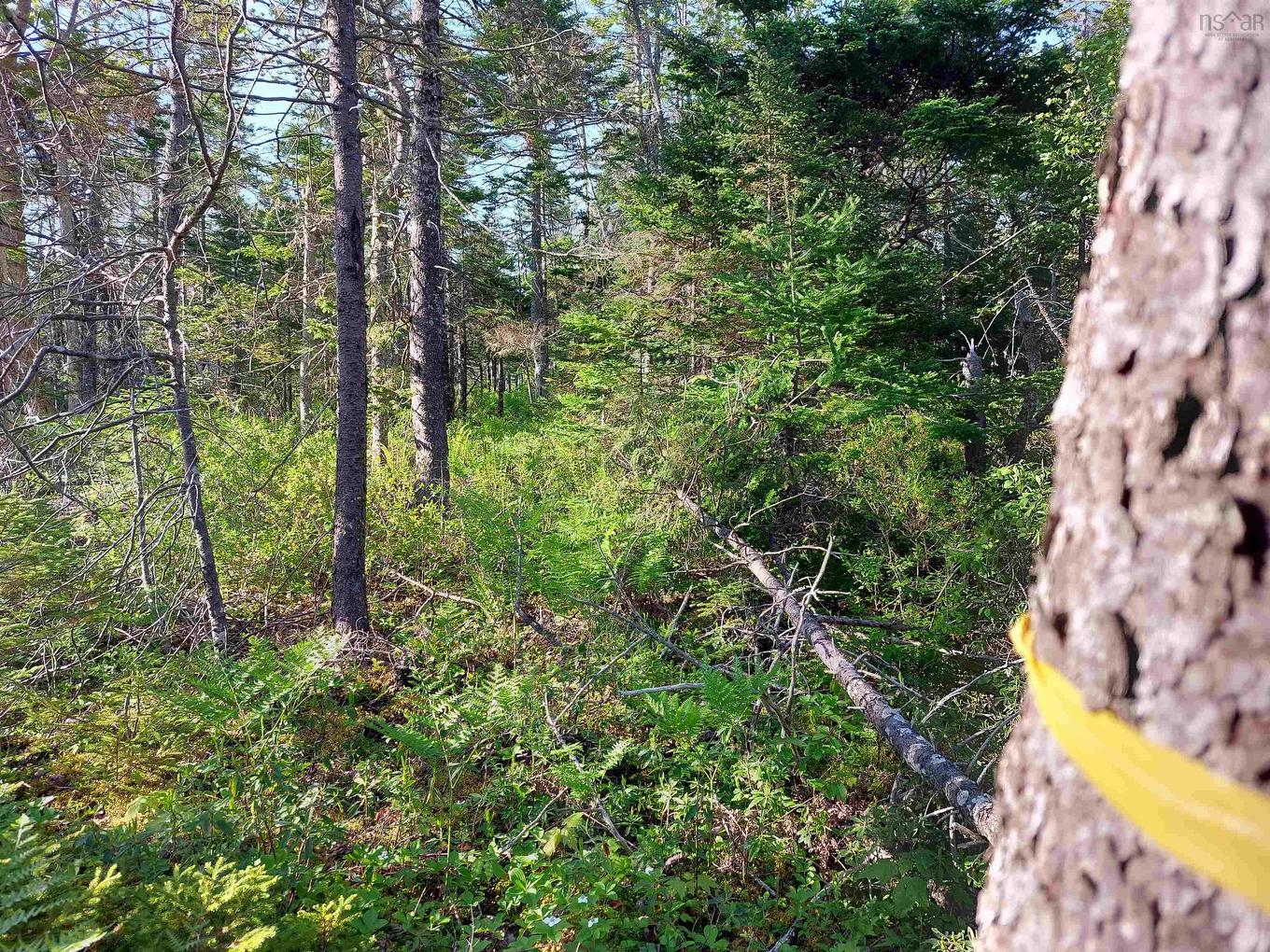 Lot B1 Katja Rose Dr, Hay Cove, NS