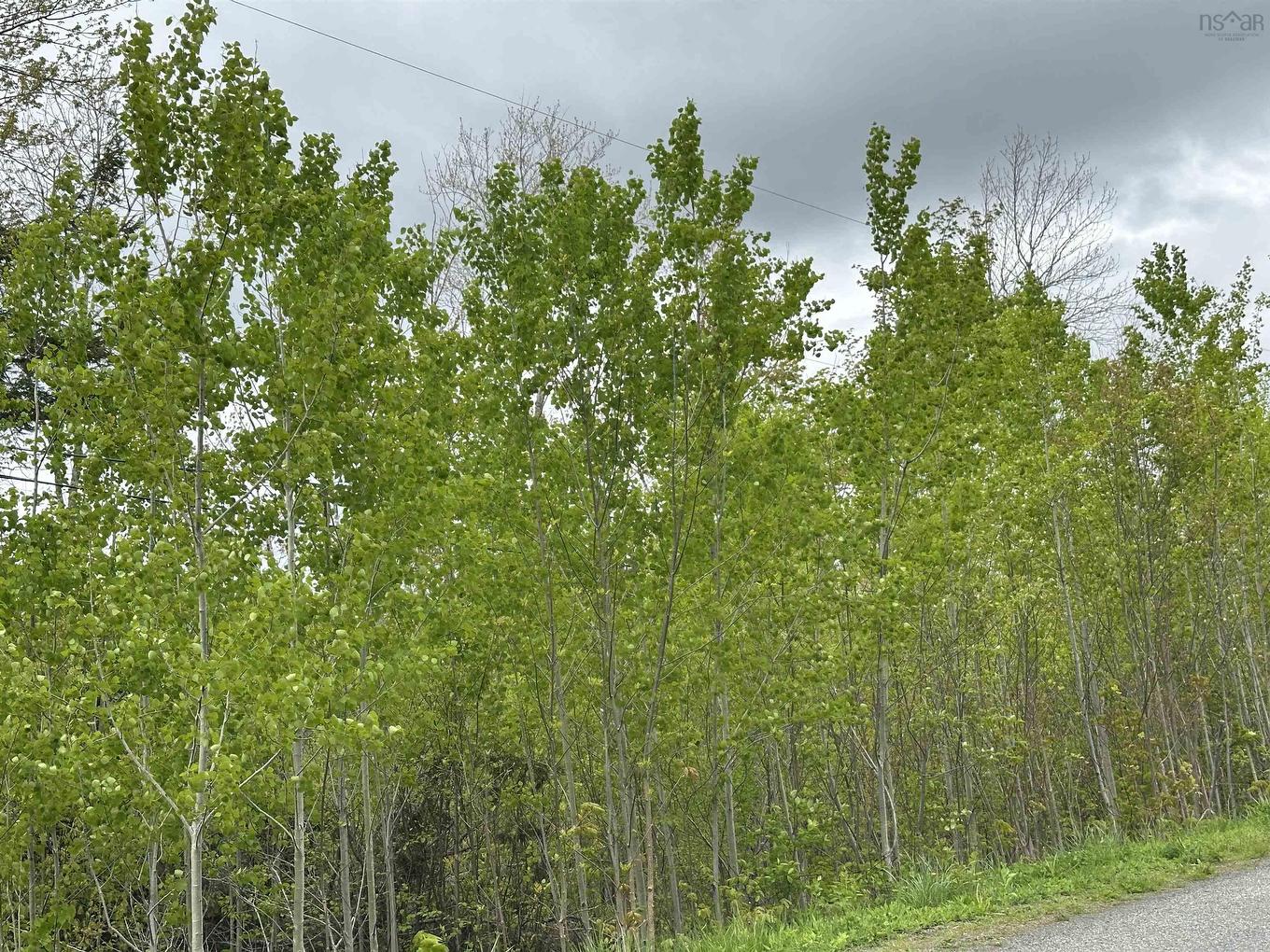Lot 19 Acres Wallace Road, Hazel Glen, NS