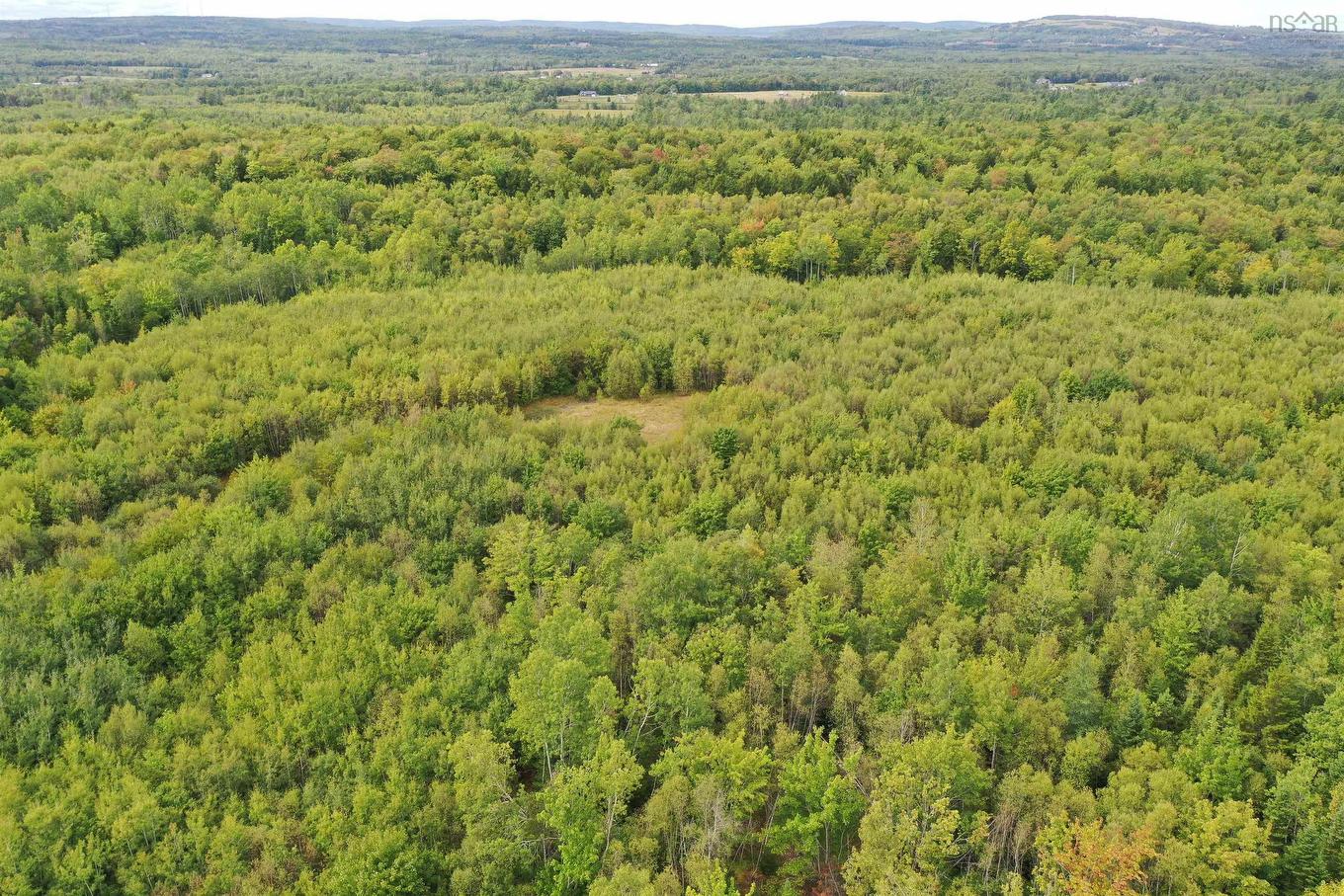 Lot 19 Acres Wallace Road, Hazel Glen, NS